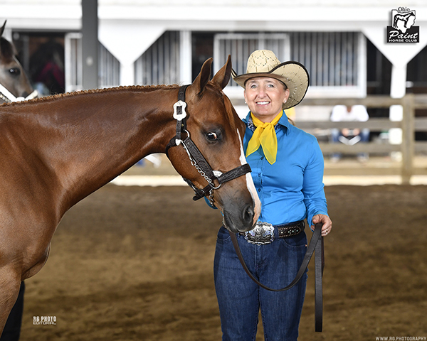 Around the Rings- Ohio PHC July Show