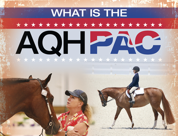 What is the AQHPAC?
