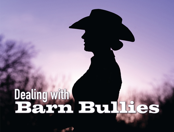 Dealing with Barn Bullies