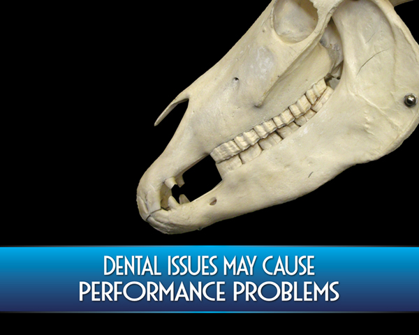 Dental Issues May Cause Performance Problems