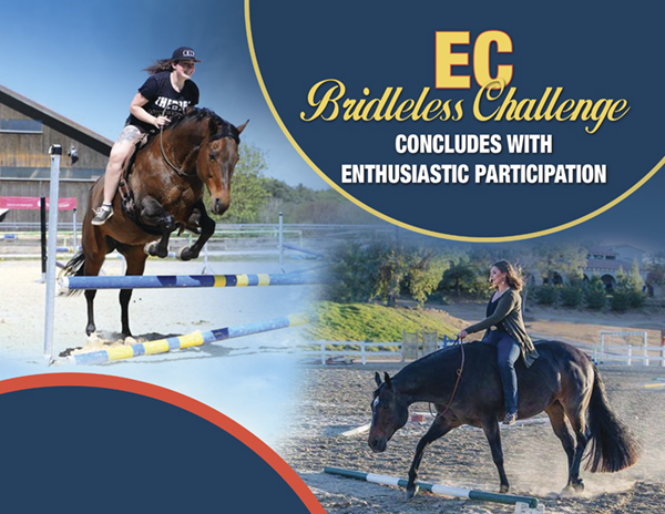 EC Bridleless Challenge Concludes With Enthusiastic Participation