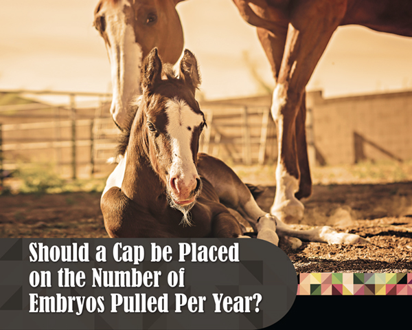 Should a Cap be Placed on the Number of Embryos Pulled Per Year?