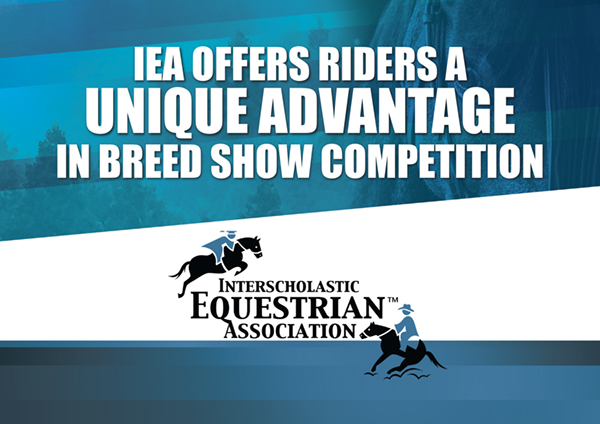 IEA Offers Riders a Unique Advantage in Breed Show Competition