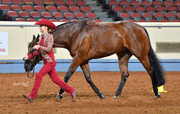 AQHYA Members to Host Toiletry Drive at Youth World Show