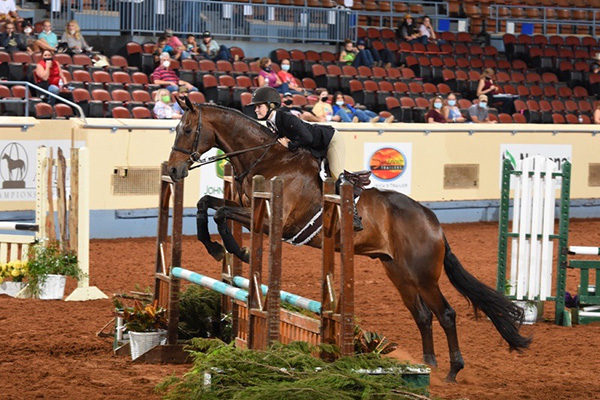 AQHA Youth World Ride The Pattern Clinicians