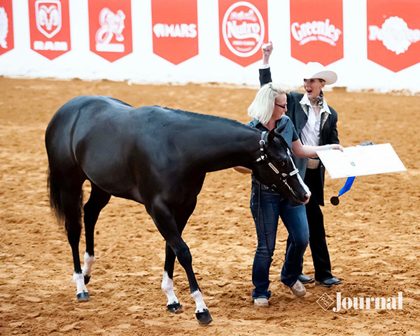 APHA Gold and Platinum Breeders’ Futurity Halter Payment Deadline Extension