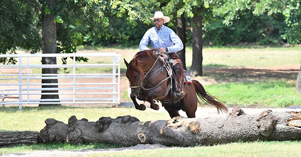 History-Making Event at 2021 AQHA VRH World Show