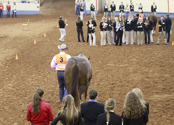 AQHA Youth World Horse Judging Contest