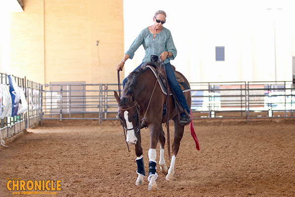 At HOT Horse Shows, Know the Signs of Heat Stroke