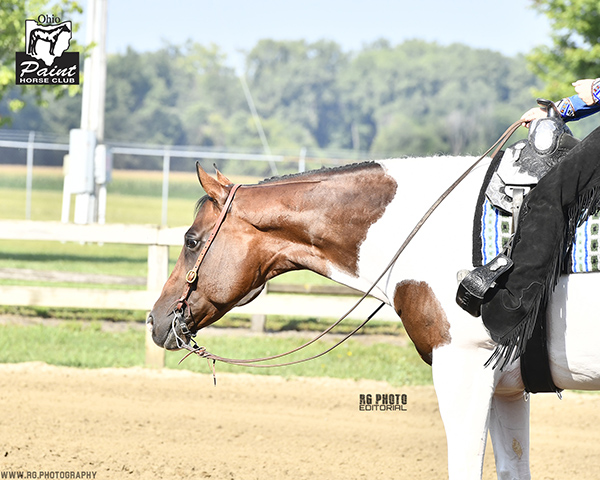 Results and Photos- Ohio PHC Buckeye Bonanza