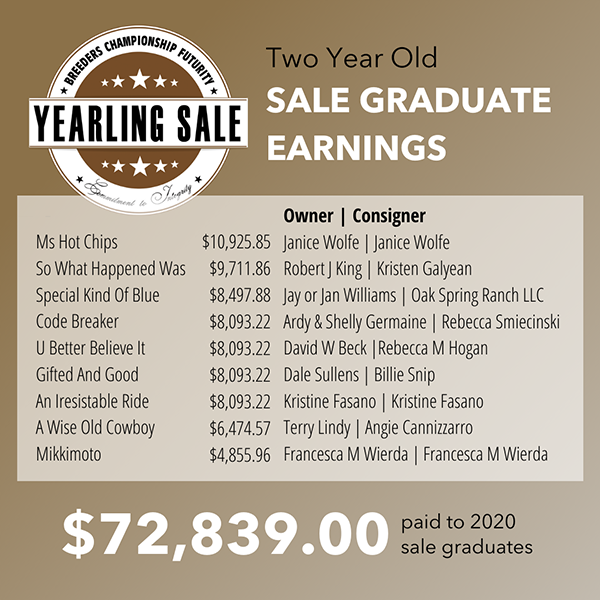 NSBA World Show Sale Recap and Sale Graduate Earnings