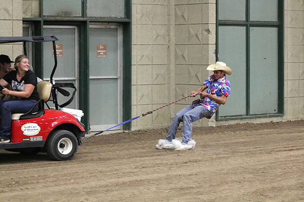 EC Photo of the Day- Horse Show Shenanigans