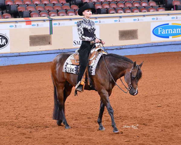 Watch AQHA Competitive Edge Videos on Horsemanship, Equitation, and Showmanship