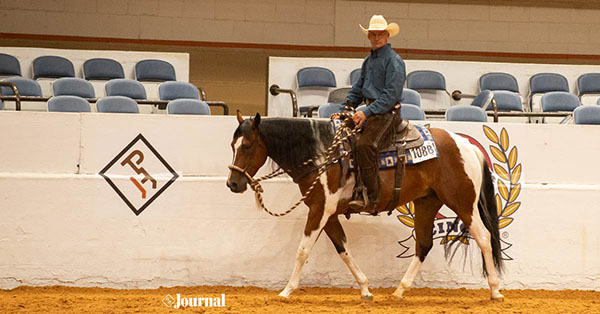 2021 World Show Tobiano Incentive Bonus Winners Announced