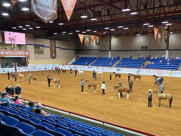 The Lonestar Gathering Kicks Off Today- Watch the Live Feed