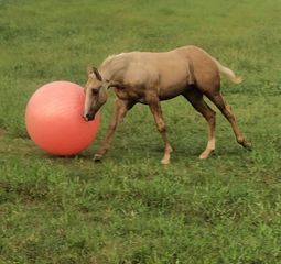 EC Photo of the Day- Let’s Play Ball!