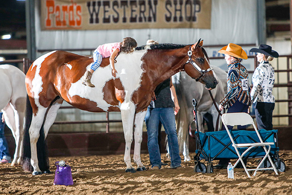 EC Photo of the Day- For the Love of the Horse