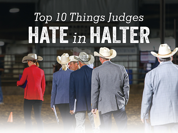 Top 10 Things Judges HATE in Halter