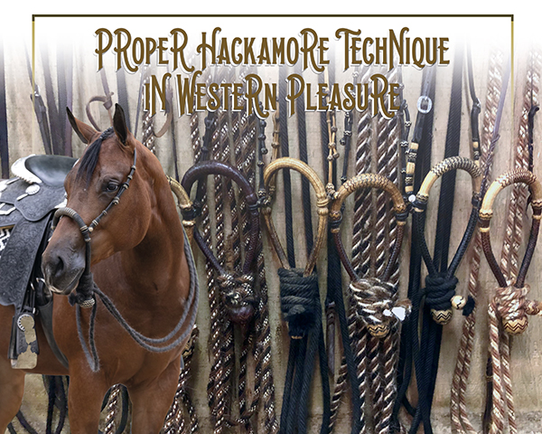 Proper Hackamore Technique in Western Pleasure