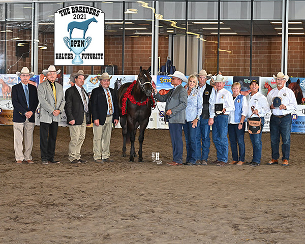 Results Recap From 2021 Breeders Halter Futurity