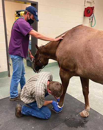 LSU Veterinary Hospital Offers Emergency Care for Animals Following Hurricane Ida