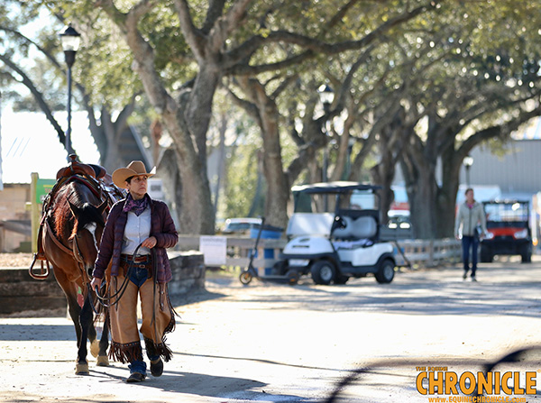 EC Photo of the Day- The Art of Horsemanship