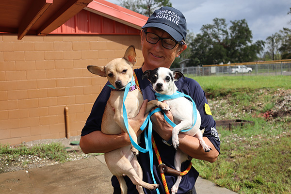 American Humane Rescue Team Cares for Hundreds of Displaced Animals in Louisiana Following Hurricane Ida