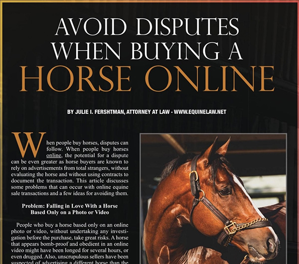 Avoid Disputes When Buying a Horse Online