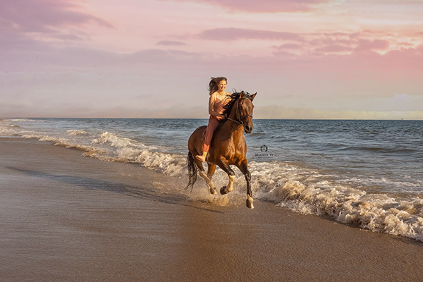 EC Photo of the Day- Sunset Beach Ride