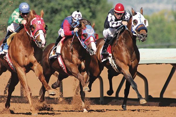 New AQHA Ranching Heritage Breeders