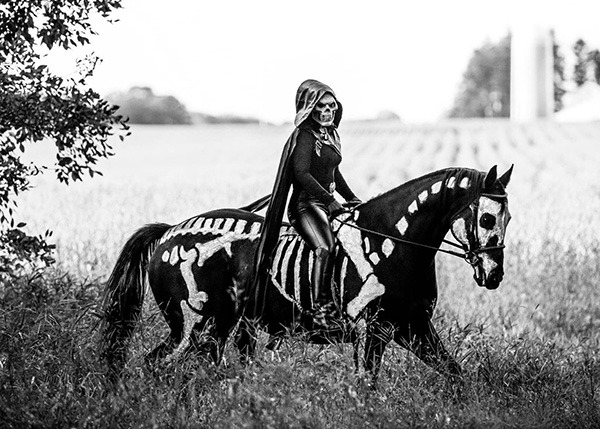 Happy Horse-O-Ween!