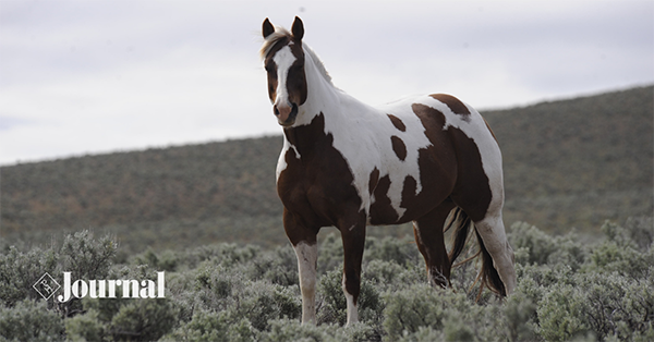 Stay in the Know With APHA News