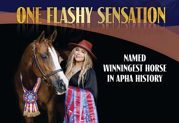 One Flashy Sensation Named Winningest Horse in APHA History