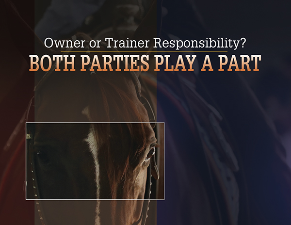 Owner or Trainer Responsibility? Both Parties Play a Part