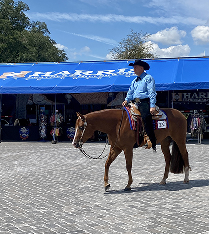 Around the Rings at The Championship Show with Laura Irene