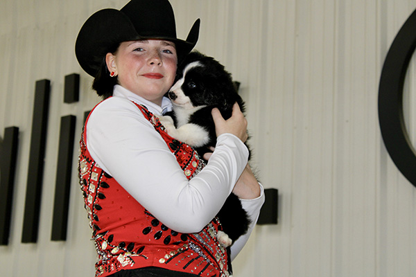 More Around the Ring Photos- The Championship Show With Laura Irene