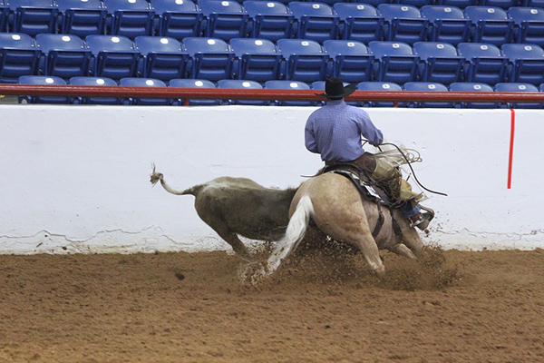 AQHA Ranching Heritage Challenge- Oct. 16th