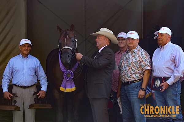 A Grand Retirement For My Bravado at Quarter Horse Congress