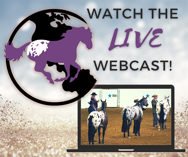 Watch 2021 Appaloosa World Show