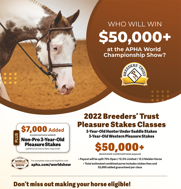 Who Will Win $50,000+ at the APHA World Show?
