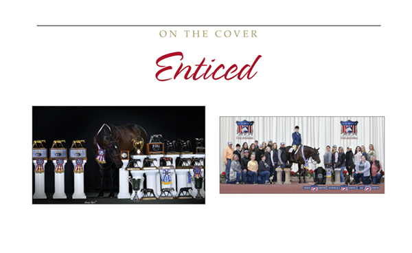 On The Cover- Enticed