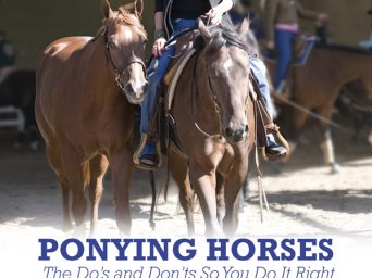 Ponying Horses – The Do’s and Don’ts