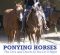 Ponying Horses – The Do’s and Don’ts