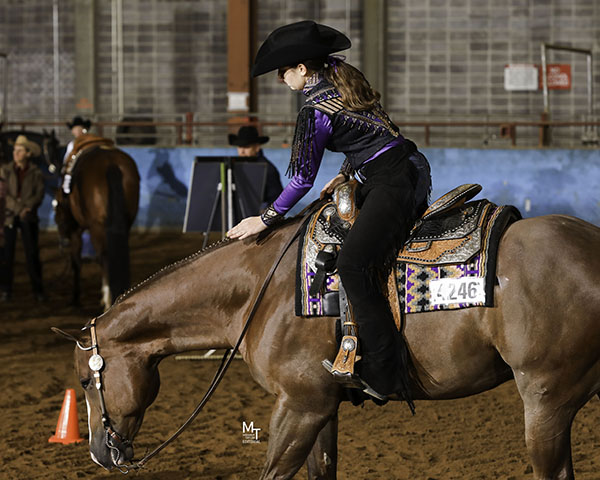 Around the Rings- Region 3 Show/ Hillbilly Classic