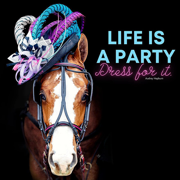 EC Photo of the Day- Life is a Party!