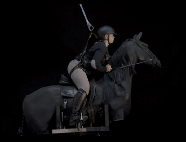 State-of-the-Art Riding Simulator Unveiled at Saddle Research Trust Conference