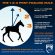 Do You Know the 1-2-3 Post-Foaling Rule?
