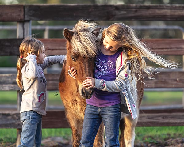 If You Give a Kid a Pony…