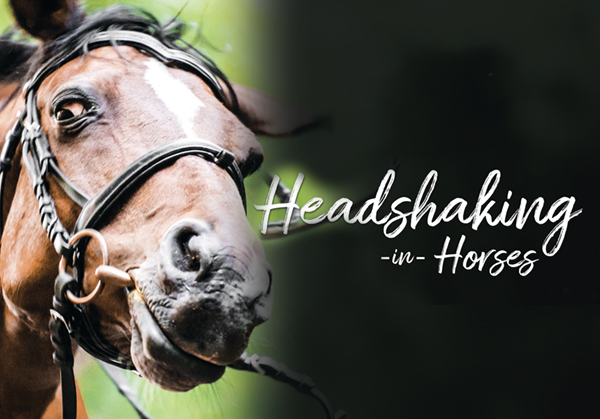 Headshaking in Horses