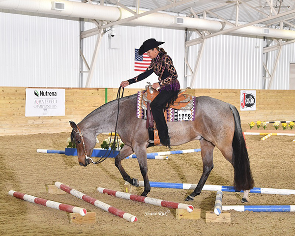 Enter 2022 Nutrena AQHA Level 1 Championships